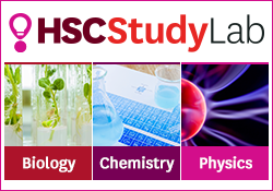 HSCStudyLab